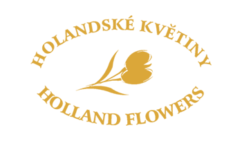 Holandské květiny