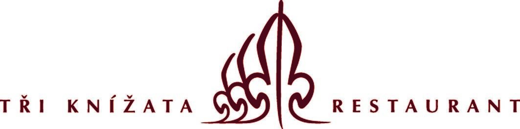 Tři Knížata - Hotel & Restaurace Jihlava