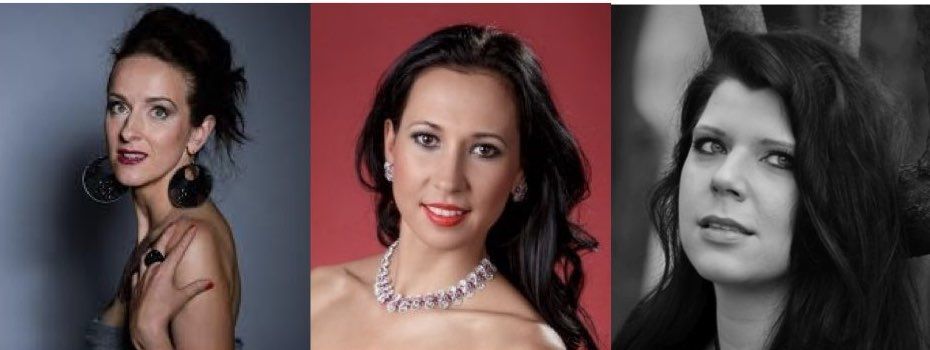 Opera gala / 3. orchestrální koncert 